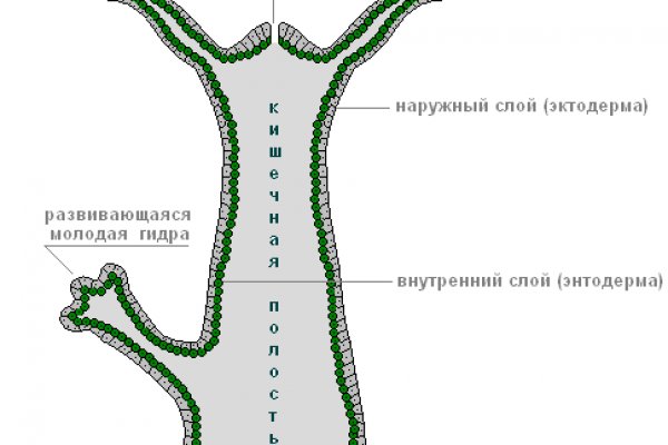 Как зарегистрироваться в кракен в россии